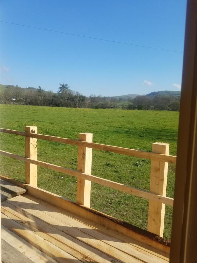 Rhydydefaid Cwt Clyd - Cosy Hut Villa Bala Exterior photo